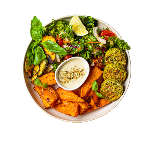 Falafel Fusion Garden Salad
