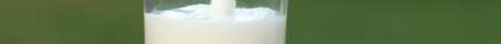 lactose intolerance milk